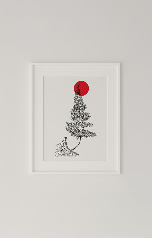 Bracken