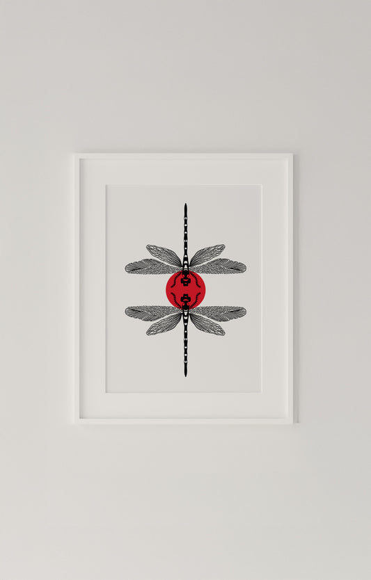 Libellula