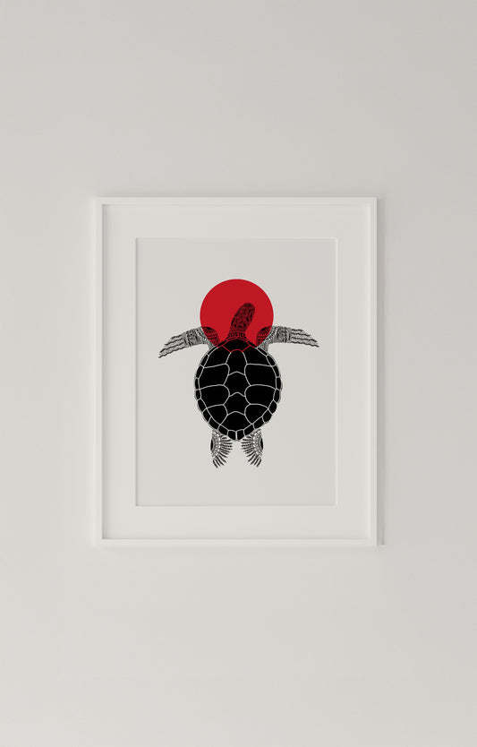 Testudo